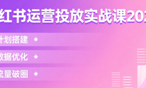 小红书运营投放实战课2026：计划搭建+数据优化+流量破圈