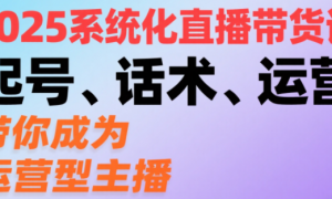 2025系统化直播带货课：起号、话术、运营 带你成为运营型主播