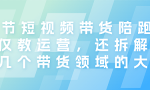 84节短视频带货陪跑课 不仅教运营，还拆解了十几个带货...