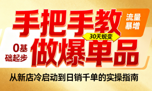 2025 拼多多单品爆店课：从 0 开店到流量拉升，手把手教做爆单品