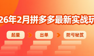 2026 年 2 月拼多多最新实战玩法：起量、出单、防亏秘笈