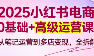 2025小红书电商0基础+高级运营课：从笔记运营到多店变现，全拆解