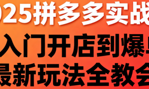 2025 拼多多实战课：从入门开店到爆单，最新玩法全教会