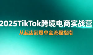 2025TikTok 跨境电商实战营：从起店到爆单全流程指南