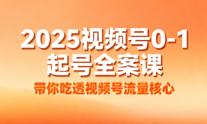 2025视频号0-1起号全案课 带你吃透视频号流量核心
