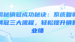 揭秘销冠成功秘诀：系统复制销冠三大流程，轻松提升销...
