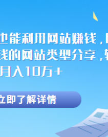 不靠SEO，也能利用网站赚钱，目前最轻松最赚钱的网站类...