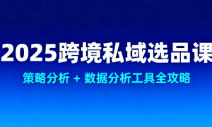 2025 跨境私域选品课：策略分析 + 数据分析工具全攻略