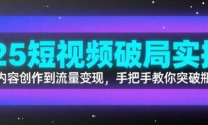 2025短视频破局实操营：从内容创作到流量变现，手把手教你突破瓶颈