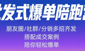 批发式爆单陪跑营：朋友圈 / 社群 / 分销多招齐发，搭配成交案例，陪你轻松爆单