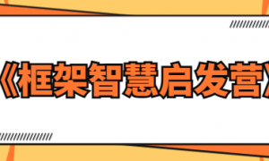 王通《框架智慧启发营》