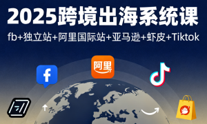 2025跨境出海系统课：fb+独立站+阿里国际站+亚马逊+虾皮+Tiktok