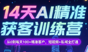 14天AI精准获客训练营：从0到每天100+精准客户，短视频+私域全打通