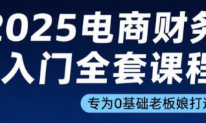 2025电商财务入门全套课程：专为0基础老板娘打造