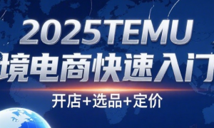 2025TEMU跨境电商（拼多多海外版）快速入门课：开店+选品+定价