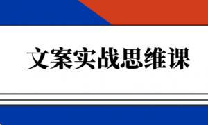 文案实战思维课 用AI写出用户爱上并且信任你的捡钱文案