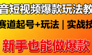 抖音短视频爆款玩法教程：多赛道起号 + 玩法，新手也能做爆款