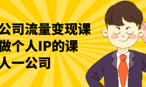 一人公司流量变现课 教你做个人IP的课，一个人一公司