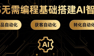 2025无需编程基础搭建AI智能体 实现产品自动化+获客自动化+转化自动化