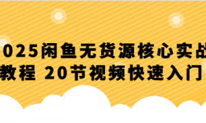2025闲鱼无货源核心实战教程 20节视频快速入门