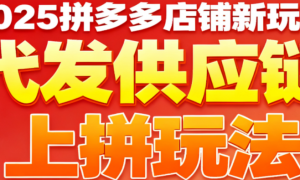2025拼多多店铺新玩法 代发供应链上拼玩法