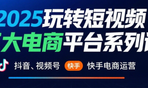 2025玩转短视频三大电商平台系列课：抖音、视频号、快手电商运营