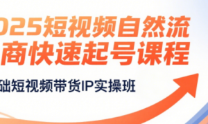 2025短视频自然流电商快速起号课程 0基础短视频带货IP实操班
