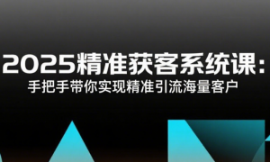 2025精准获客系统课：手把手带你实现精准引流海量客户