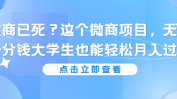 微商已死？这个微商项目，无需一分钱大学生也能轻松月...