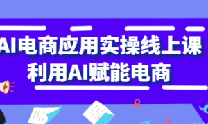 AI电商应用实操线上课 利用AI赋能电商