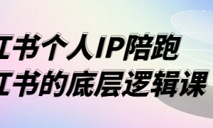 小红书个人IP陪跑课程 小红书的底层逻辑课
