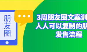 3周朋友圈文案训练营 人人可以复制的朋友圈发售流程