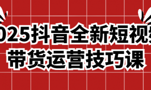 2025抖音全新短视频带货运营技巧课