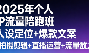 2025年个人IP流量陪跑班 人设定位+爆款文案+拍摄剪辑+直播运营+流量放大