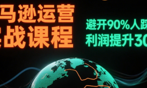 亚马逊运营实战课程 避开90%人踩的坑，利润提升300%