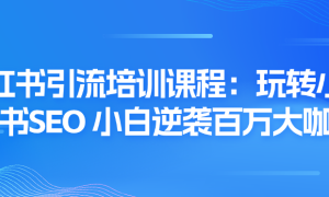 小红书引流培训课程：玩转小红书SEO 小白逆袭百万大咖