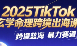 2025TikTok玄学命理跨境出海课：跨境蓝海暴力赛道