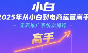 2025年从小白到电商运营高手：无界推广系统实操课