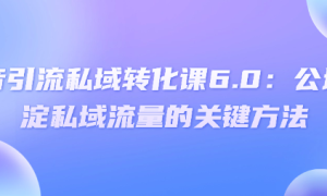 抖音引流私域转化课6.0：公域沉淀私域流量的关键方法