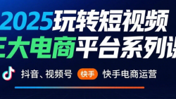 2025玩转短视频三大电商平台系列课：抖音、视频号、快手电商运营