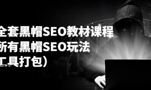 李冰全套黑帽SEO教材课程 讲透所有黑帽SEO玩法（工具打包）