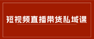 短视频直播带货私域课：下一个十年