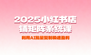 2025小红书店铺矩阵系统课：利用AI批量复制极速盈利