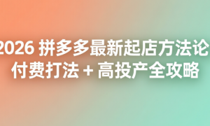 2026 拼多多最新起店方法论：付费打法 + 高投产全攻略