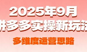 2025年9月拼多多实操新玩法 多维度运营思路