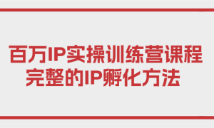 百万IP实操训练营课程，完整的IP孵化方法