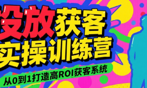 投放获客实操训练营 从0到1打造高ROI获客系统