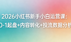 2026 小红书新手小白运营课：0-1 起盘 + 内容转化 + 投流数据分析