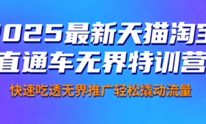 2025最新天猫淘宝直通车无界特训营 快速吃透无界推广轻松撬动流量