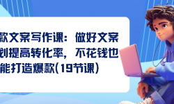 爆款文案写作课：做好文案策划提高转化率，不花钱也能打造爆款（19节课）